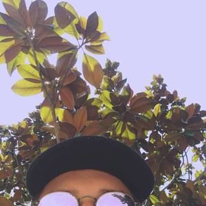 Meet your Posher, Dylan